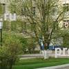 Районная больница на Заводской, Видное - фото