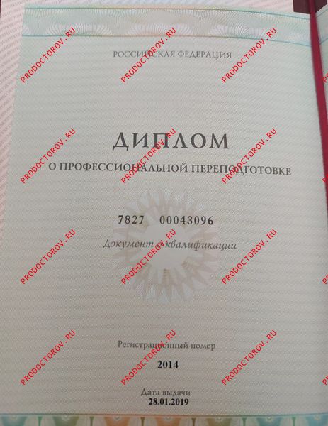 Документы и фотографии - Кадыров Э. З.