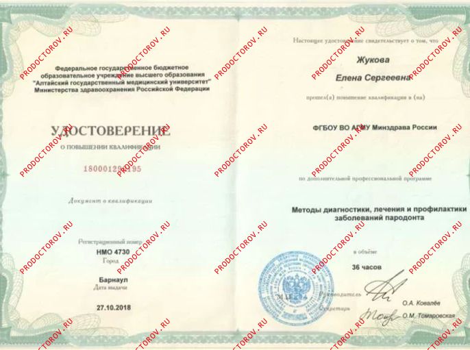 Документы и фотографии - Жукова Е. С.