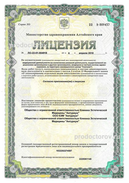 Лицензия Лицензия