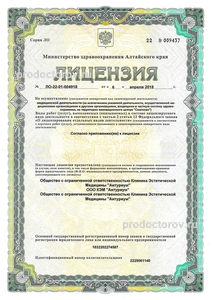 Лицензия Лицензия