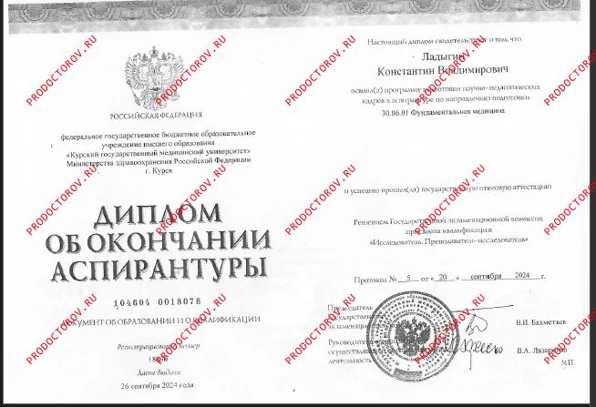 Документы и фотографии - Ладыгин К. В.