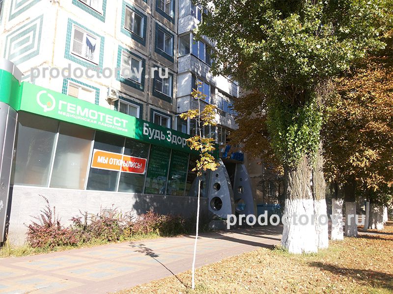 Гемотест щорса 38 белгород. Гемотест белгород. Свердлова, 32. Гемотест абакан. Абакан щорса 28 гемотест.