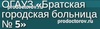 Городская больница №5, Братск - фото