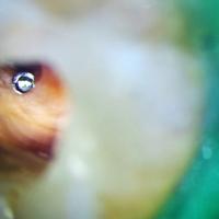 Пример работы до и после - 