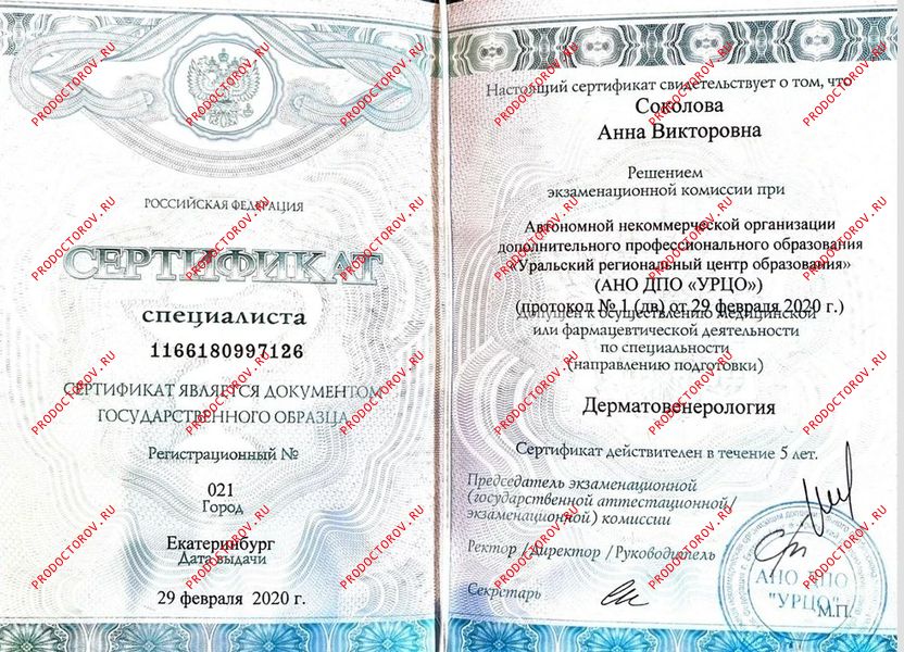 Документы и фотографии - Соколова А. В.