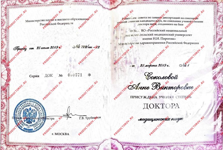 Документы и фотографии - Соколова А. В.