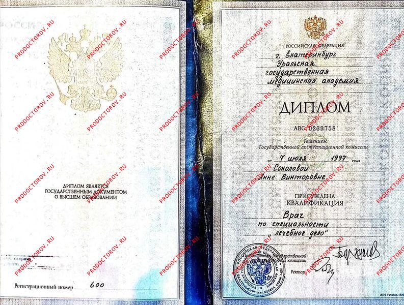 Документы и фотографии - Соколова А. В.