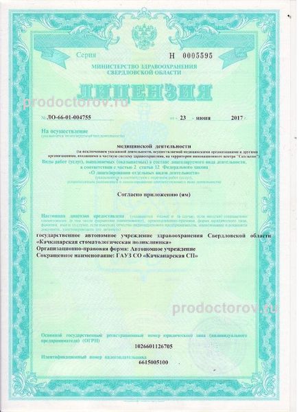 Лицензия Лицензия