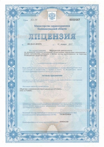 Лицензия Лицензия