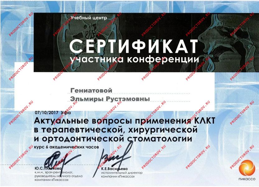 Конференция 2017 Голомидова Э. Р. - Конференция 2017