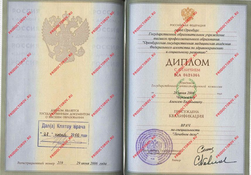 Диплом Черемисин А. Е. - Диплом