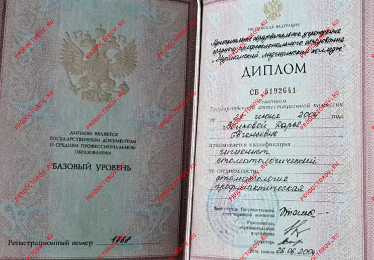 Документы и фотографии - Виссарионова Д. Е.