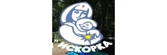Детский психоневрологический санаторий «Искорка» на Железнякова, Кемерово - фото