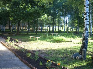 Территория