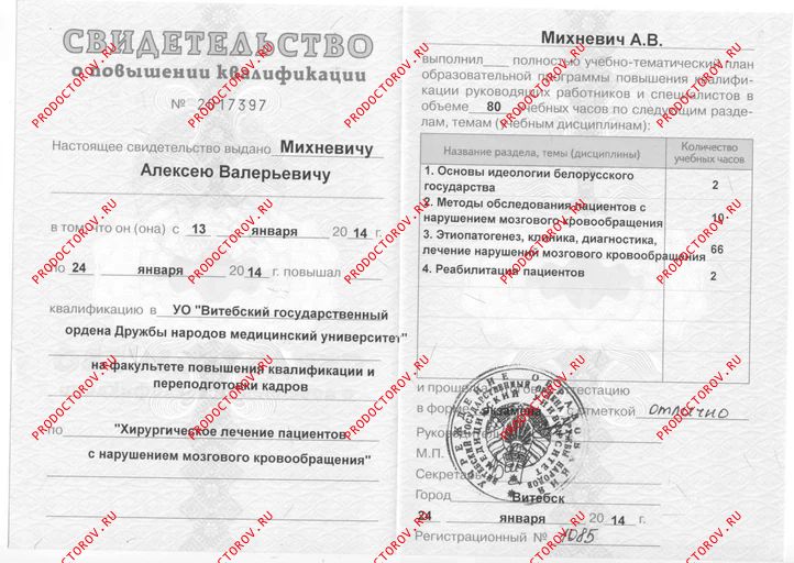 Документы и фотографии - Михневич А. В.