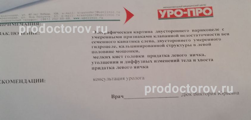 Заключение уролога образец без патологий