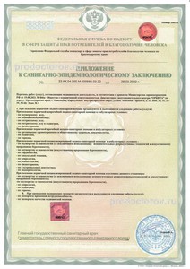 Приложение к сэз