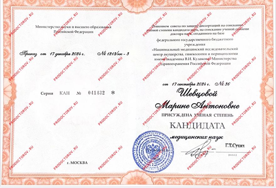Документы и фотографии - Шевцова М. А.