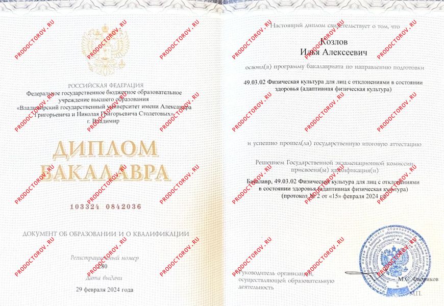 Документы и фотографии - Козлов И. А.