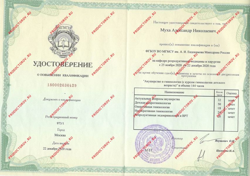 Документы и фотографии - Муха А. Н.