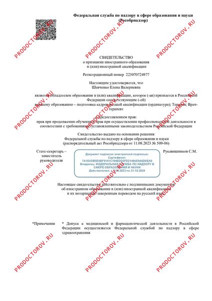 Документы и фотографии - Шевченко Е. В.