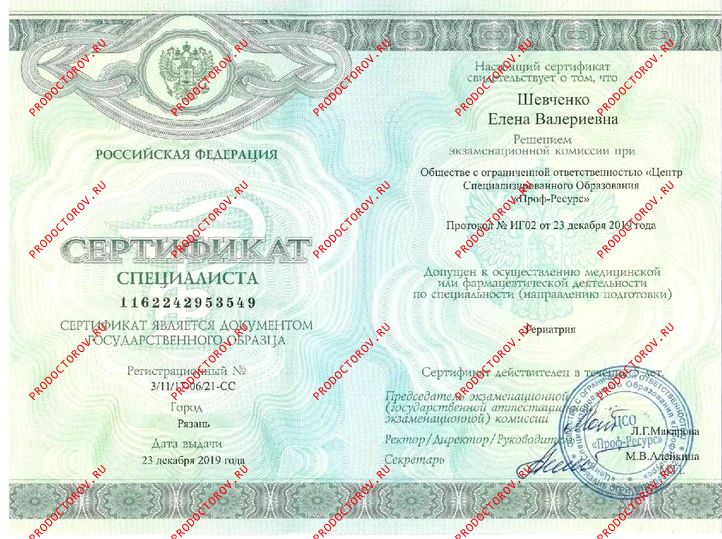 Документы и фотографии - Шевченко Е. В.