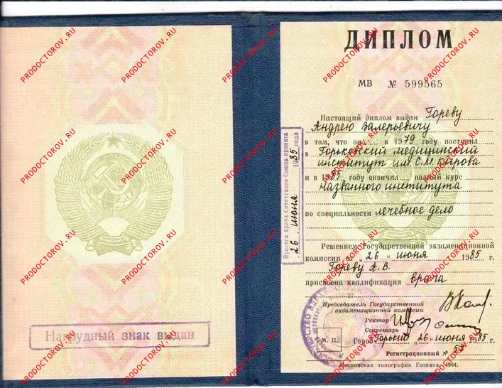 Документы и фотографии - Горев А. В.