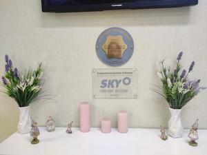 Мы - официальные представители имплантов SKY и OSSTEM. Мы - официальные представители имплантов SKY и OSSTEM.