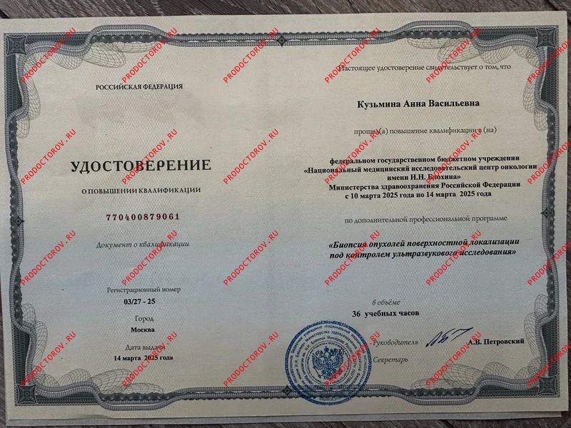 Документы и фотографии - Кузьмина А. В.
