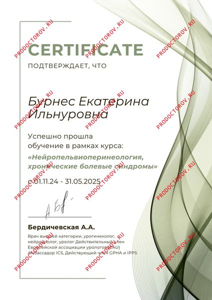 Документы и фотографии - Бурнес Е. И.