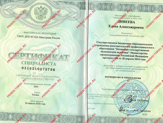 Документы и фотографии - Динеева Е. А.