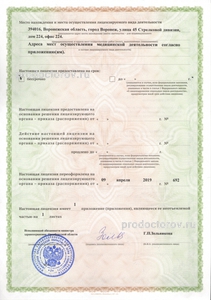 лицензия лицензия