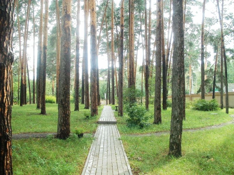 Пикник в Серебряном бору. Аренда беседок, мангальных зон и шатров в Москве.