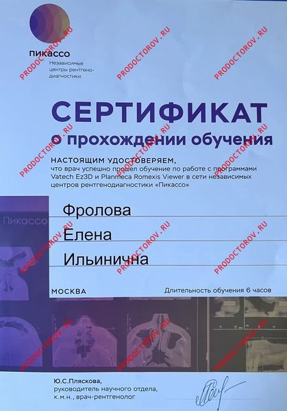 Чтение и исследования в КТ Пикассо Фролова Е. И. - Чтение и исследования в КТ Пикассо