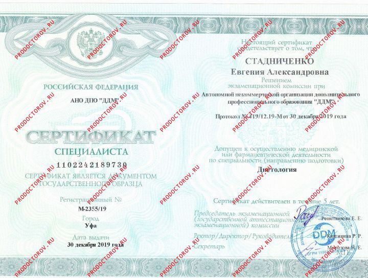 Документы и фотографии - Стадниченко Е. А.