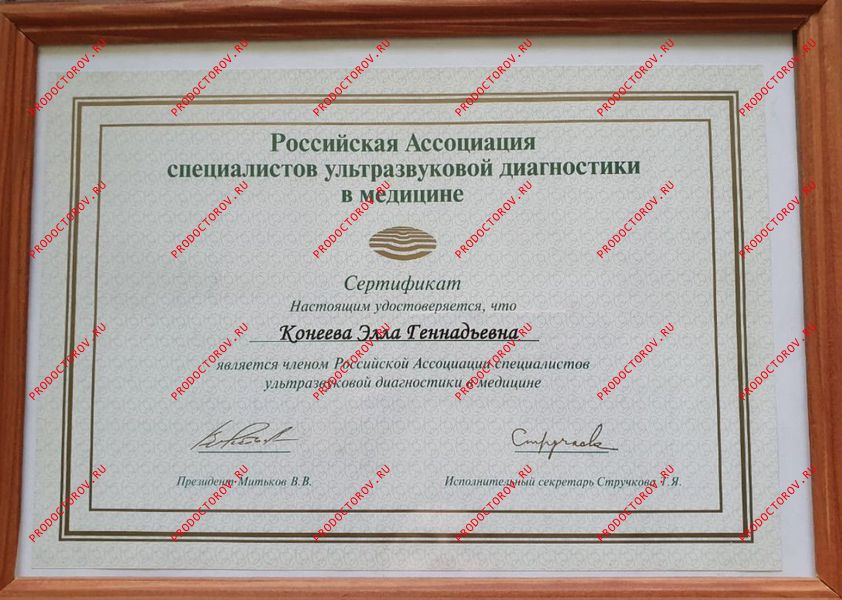 Конеева Э. Г. - сертификат