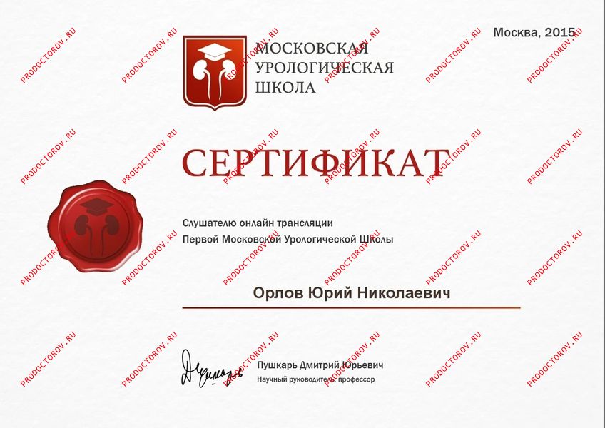 Документы и фотографии - Орлов Ю. Н.