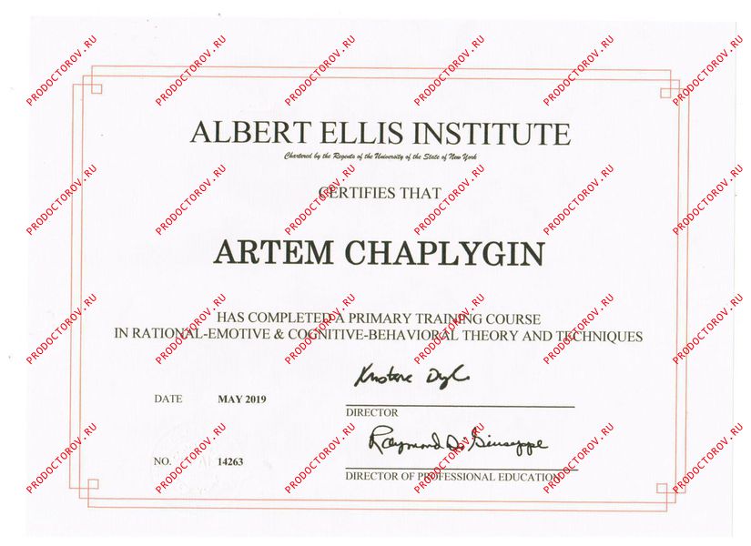 Чаплыгин А. А. - Albert Ellis Institute (NewYork USA) базовый курс РЭПТ