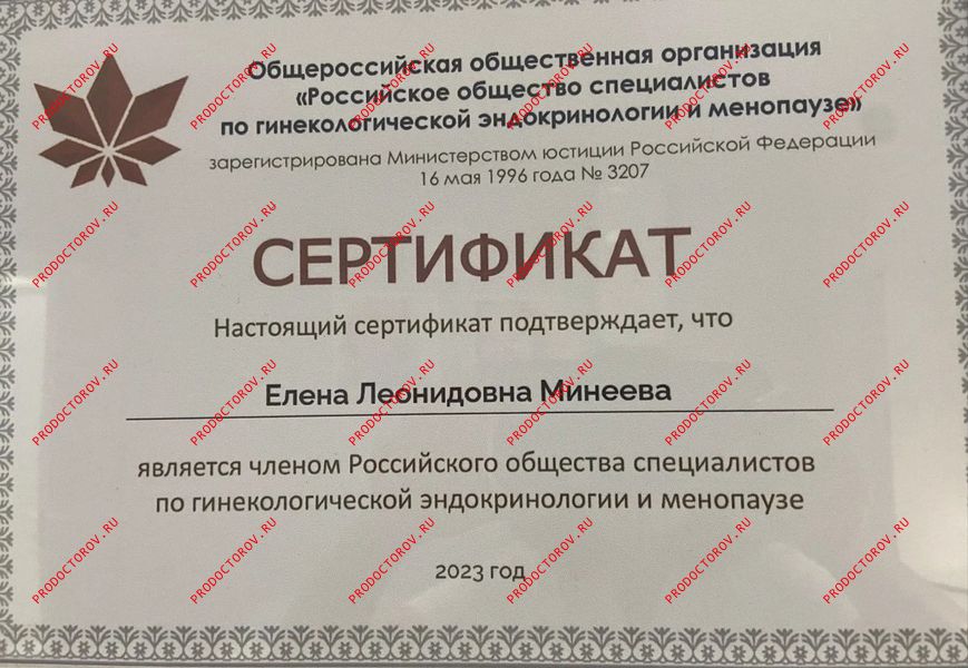 Сертификат Минеева Е. Л. - Сертификат
