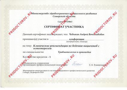 Чебыкин А. В. - Сертификат Чебыкин А.В.