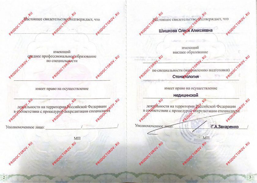 Документы и фотографии - Шишкова О. А.