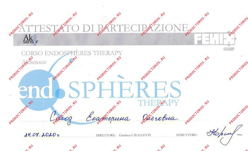 Солод Е. О. - EndoSpheres Therapy 2020