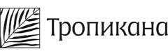 Медицинский центр «Тропикана» на Луначарского, Серпухов - фото