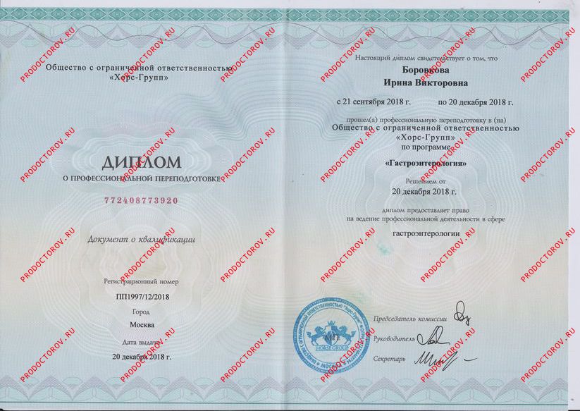 Документы и фотографии - Боровкова И. В.