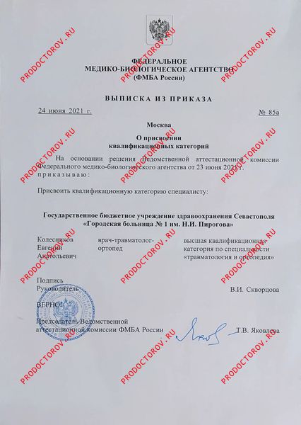 Документы и фотографии - Колесников Е. А.