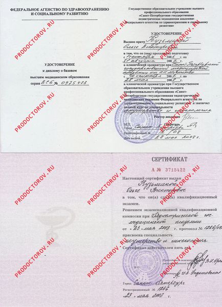 Документы и фотографии - Елистратова О. В.