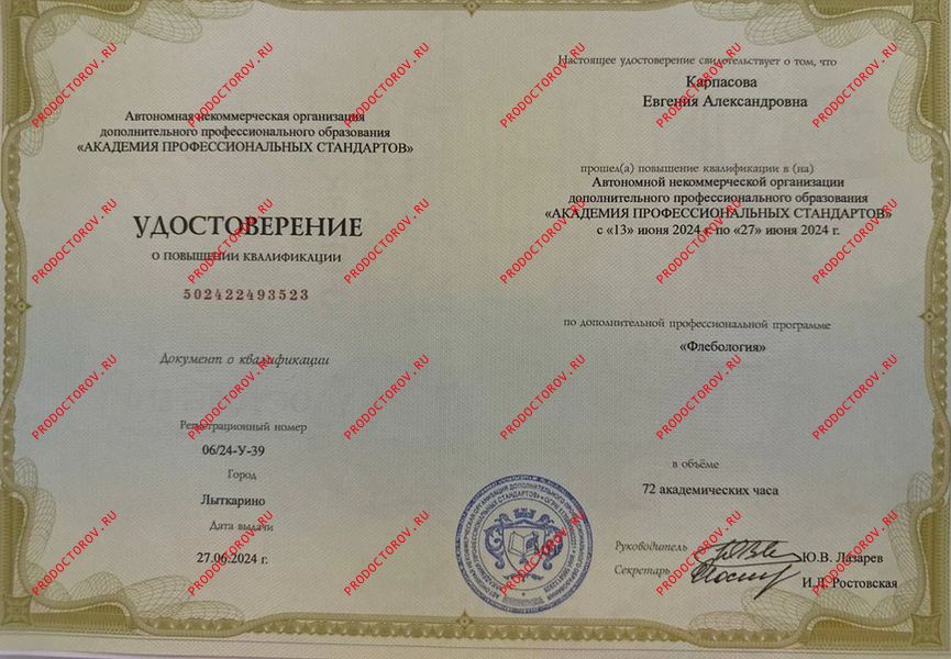 Документы и фотографии - Карпасова Е. А.