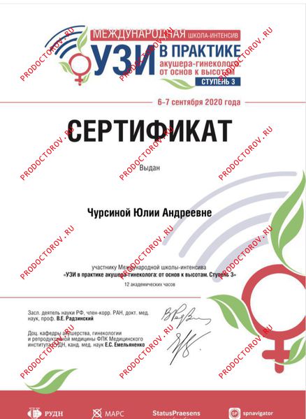 Документы и фотографии - Чурсина Ю. А.