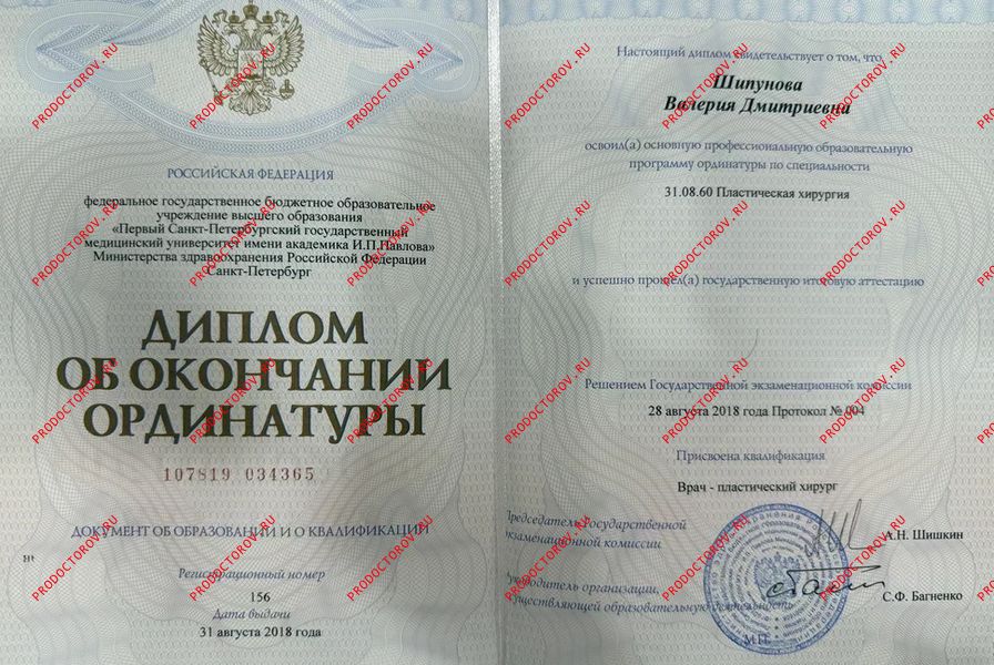 Документы и фотографии - Шипунова В. Д.